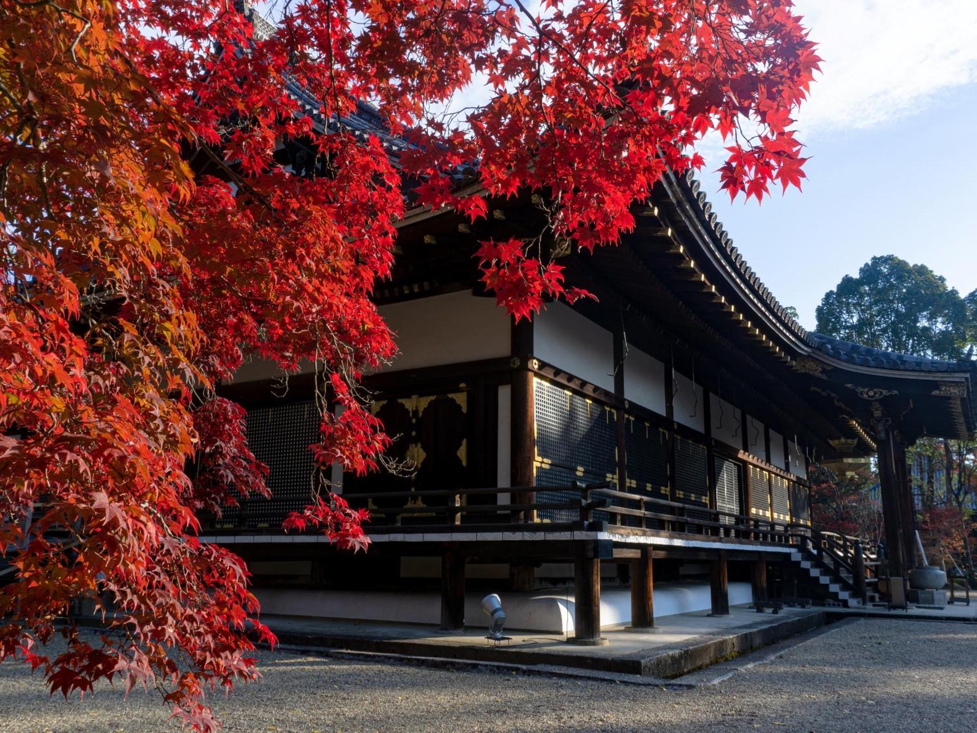 The Blossom Kioto Zewnętrze zdjęcie